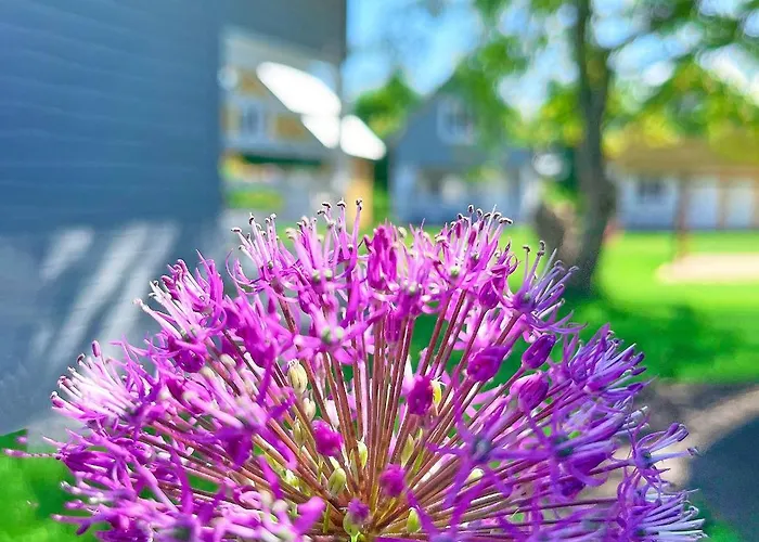 Lato Na Wyspie * Gdansk