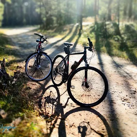 Lato Na Wyspie Lodge