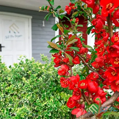 Lato Na Wyspie Lodge *