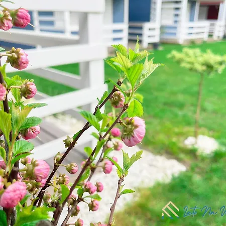 Lato Na Wyspie Chata Gdaňsk